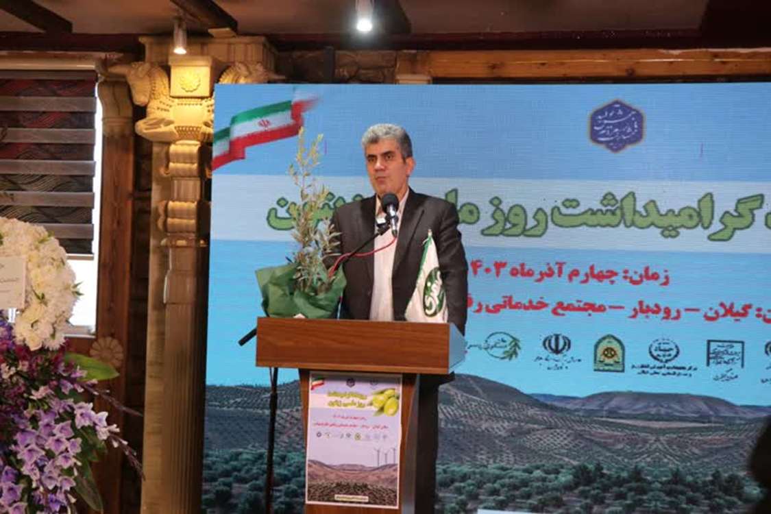 روز زیتون در رودبار